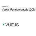 vue js fundamentals qcm